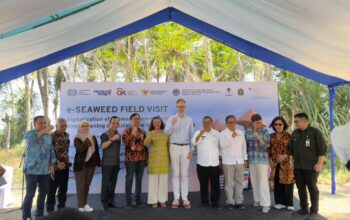 OJK dorong inklusi keuangan petani tempur laut melalui implementasi e-seaweed